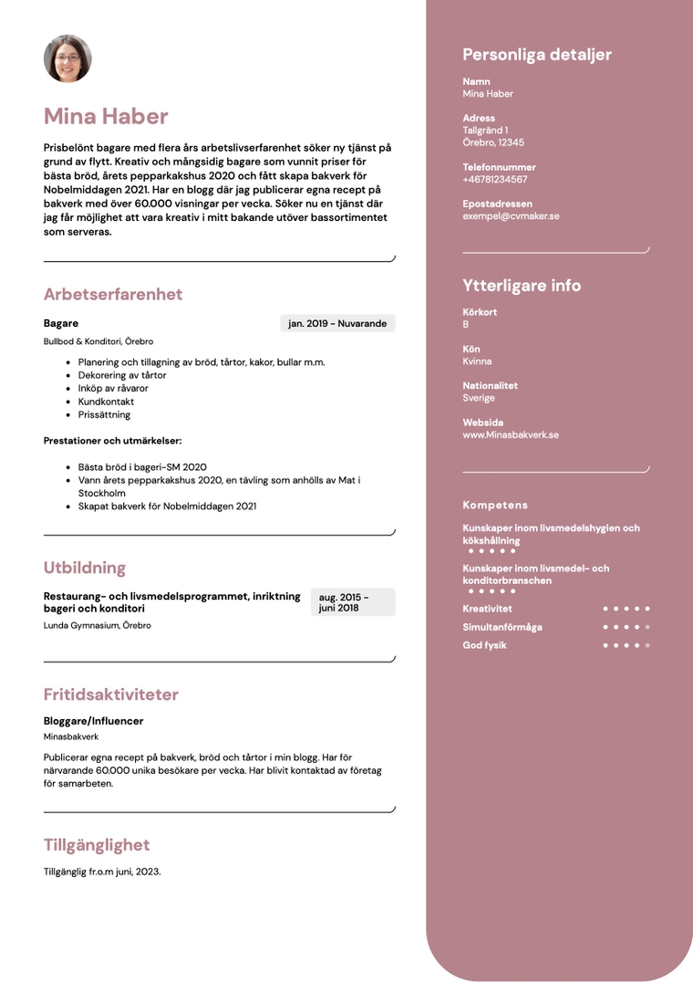 CV-exempel – Enkelt eller grundläggande CV – California-mall