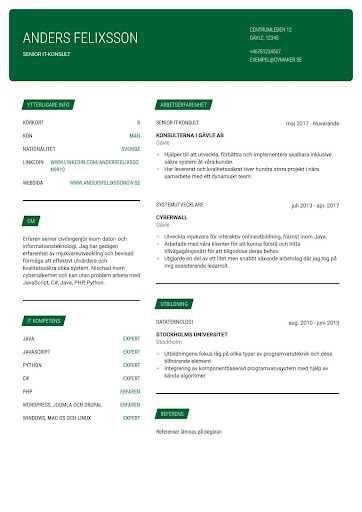 Cv-exempel med referenser Cv-exempel med referenser